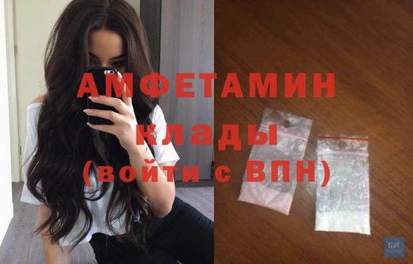 молекула духа Каменногорск