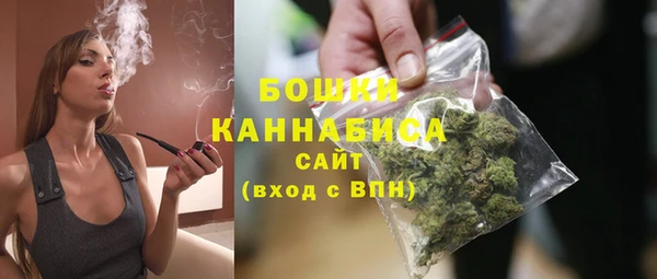 молекула духа Каменногорск