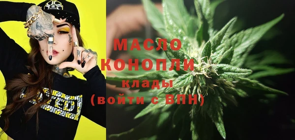 молекула духа Каменногорск