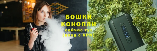 прущий лед Каменка